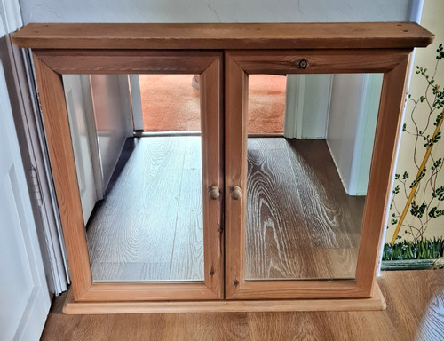 Vintage mirror two door - mirror,