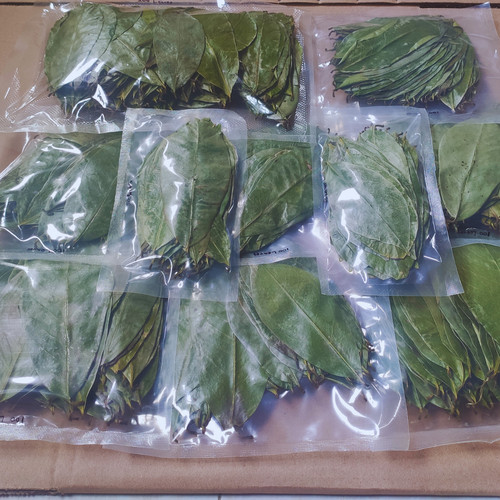 Dried soursop leaves graviola - dried,