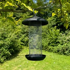 Large Hanging Steel Bird Nut