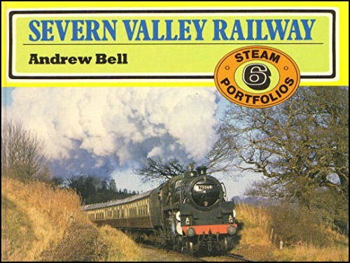 Steam portfolios book - portfolios,