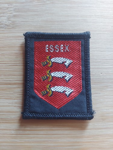 Scouting county single - uk,