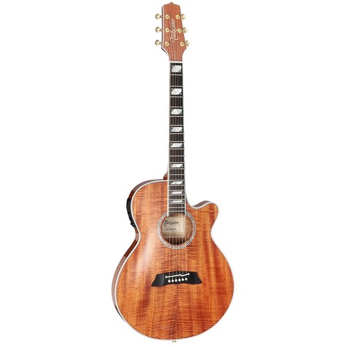 Takamine tsp178ack hawaiian - n,