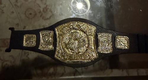 Wwe spinner - spinner, championship