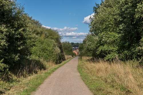 Photo 12x8 ashtead - photo, common
