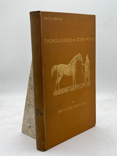 Thoroughbred other ponies - thoroughbred,