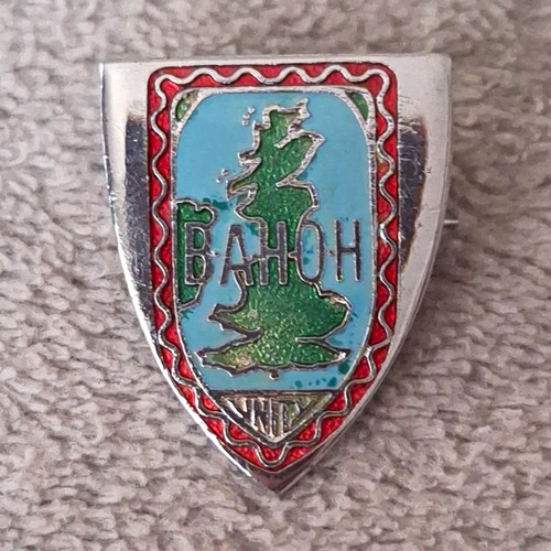 Bamoh shield shaped - shaped, enamel