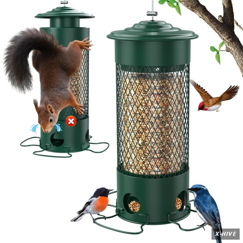 Metal squirrel proof - metal, bird