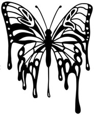 large butterfly van car bonnet