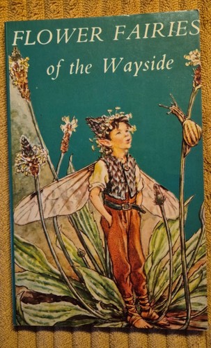 Flower fairies the wayside - flower,