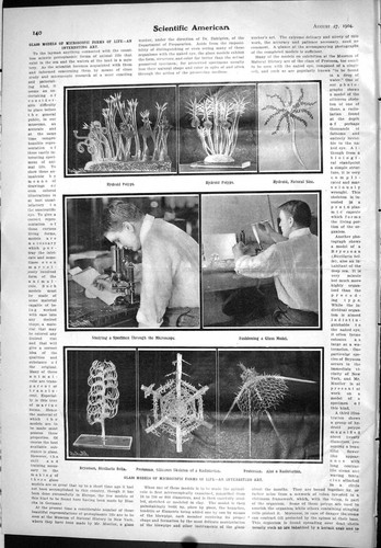 Old scientific american 1904 - old,