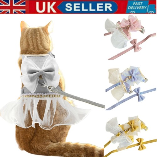 Cute girl dog harness - dog, dress