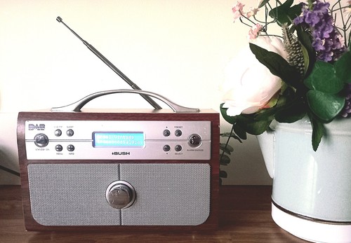 Bush portable dab radio - bush,