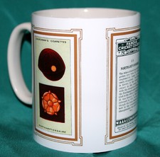 FAMOUS CRICKET COLOURS-CAPS &