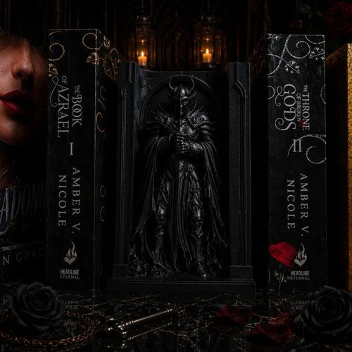Dark knight book nook - book,