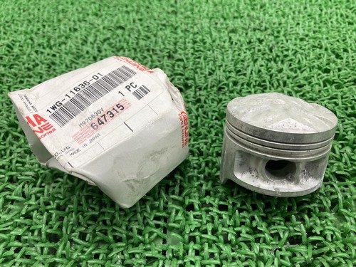 Yamaha genuine used fzr400 - genuine,