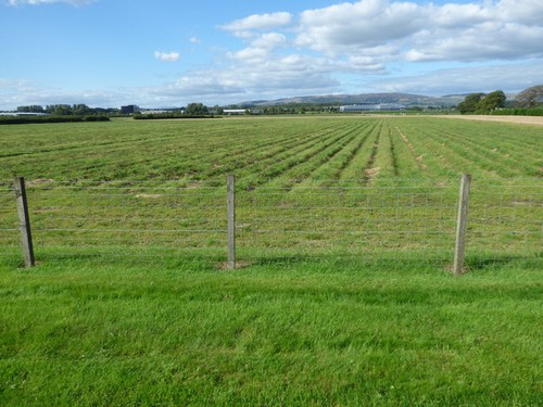 Photo 6x4 field off walkinshaw - photo,
