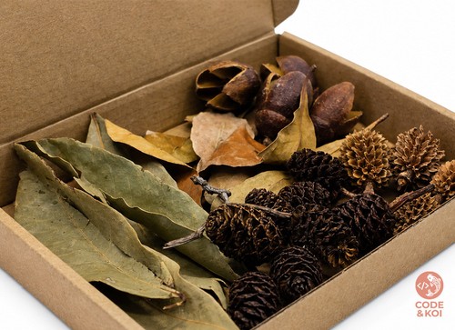 Aquarium botanical starter - botanical, starter+