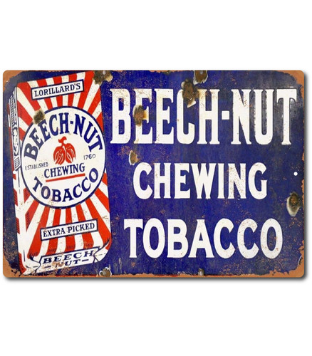 Vintage retro beech - beech-, nut