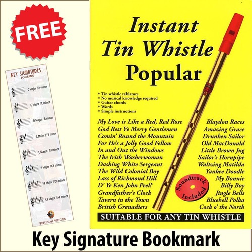 Instant tin whistle popular - tin,