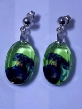 Dachshund Dog Crystal Earrings Sterling Silver Bale & Stud
