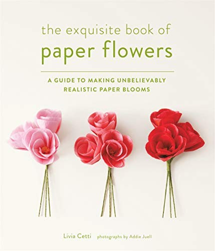 The exquisite book paper - the,