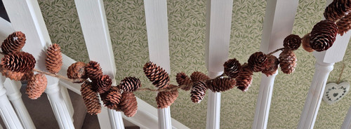 Autumnal natural fir cone