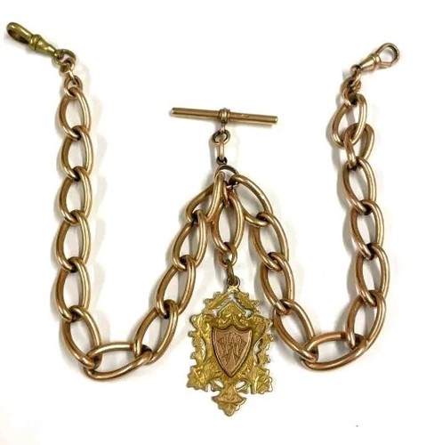 1880 antique double albert - 1880,