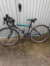 Frog-team sky bike