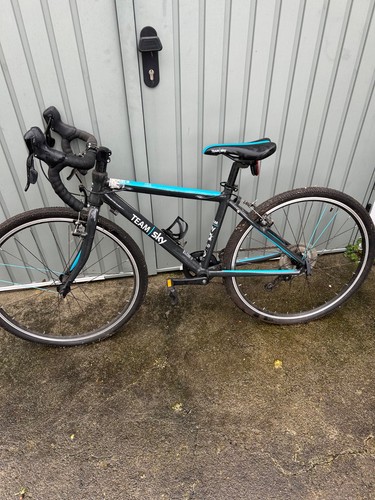 Frog team sky bike - sky,