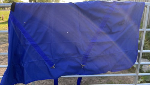 Summer sheet rug travel - summer,