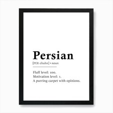 Persian Definition Poster -