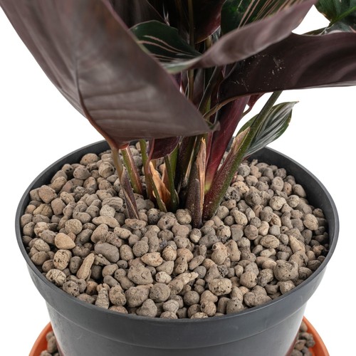 Clay pebble ball - pebble,
