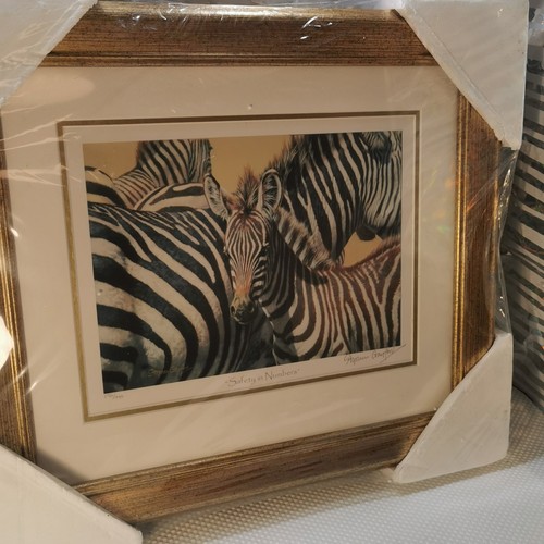2007 stephen gayford zebra - stephen,