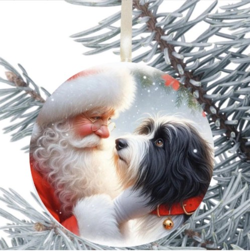 Bearded collie old english - bearded,