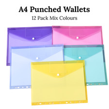  12 Pack A4 Coloured Plastic