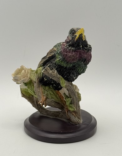 Country bird collection - country,