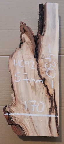 Spalted chestnut slab - spalted,
