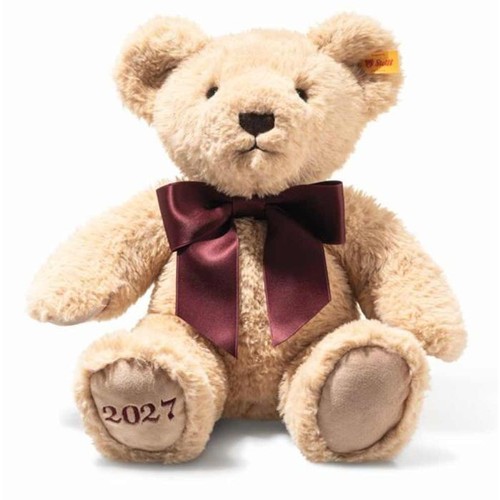 Cosy year bear 2027 - year,