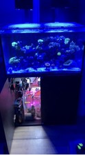 Aqua One 230L Aquarium Tank