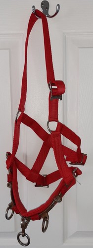 Red webbing lunge cavesson - red,