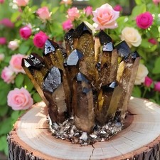 351G+ Unique Rare Smoky Quartz