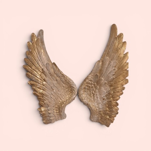 One pair chic angel wings - one,