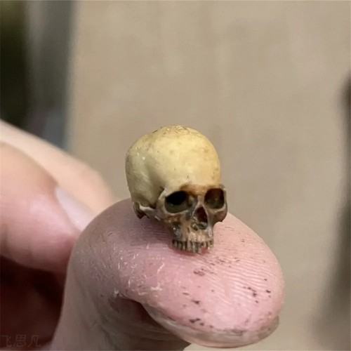 Mini skull ornament halloween - skull,