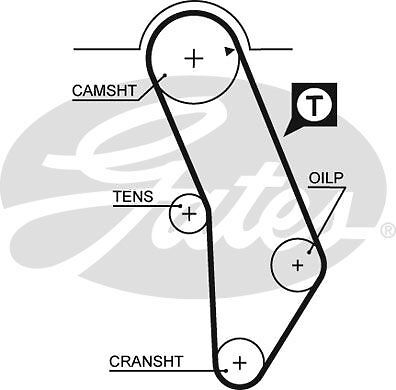 Genuine gates powergrip - gates, timing