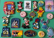 Souvenir fridge magnet - Disney/ Universal Studios
