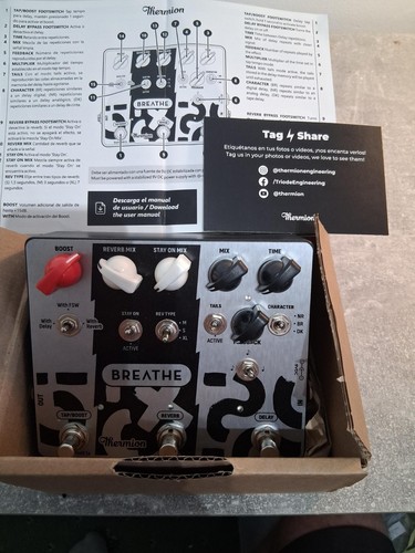 Thermion tap delay dual - thermion,