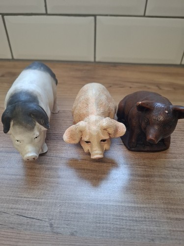 Pigs ornaments - pigs, ornaments.