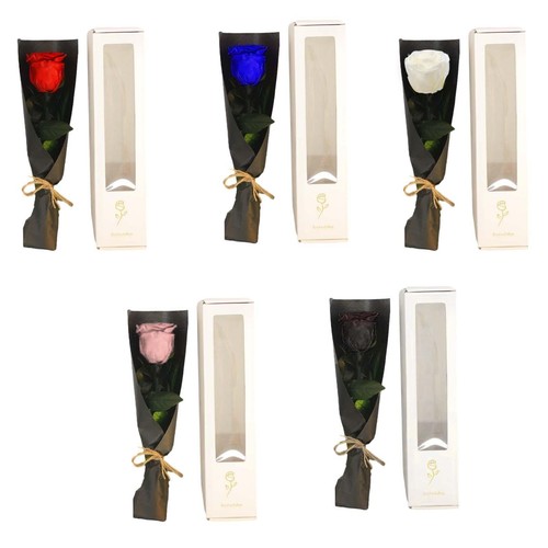 Preserved flower rose gifts - flower,