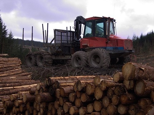 Photo 6x4 forestry - forestry, machinery