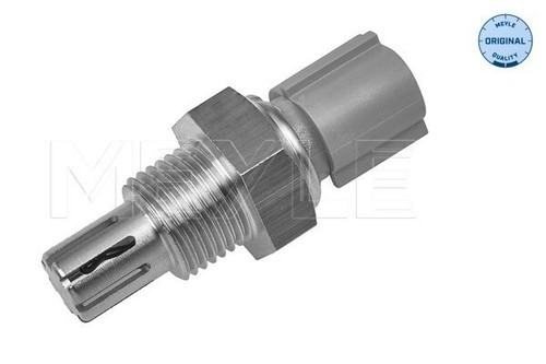 Sensor intake air temperature - air,